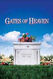 Watch Free Gates of Heaven (1978)