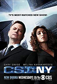 Watch Free CSI: NY (20042013)