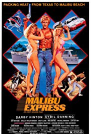 Watch Free Malibu Express (1985)