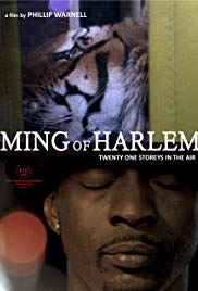 Watch Free Ming of Harlem: Twenty One Storeys in the Air (2014)