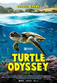 Watch Free Turtle Odyssey (2018)