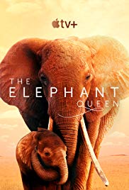 Watch Free The Elephant Queen (2019)