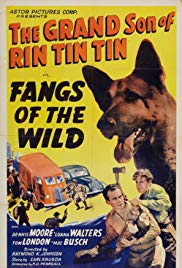 Watch Full Movie :Fangs of the Wild (1939)
