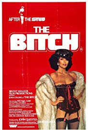 Watch Free The Bitch (1979)