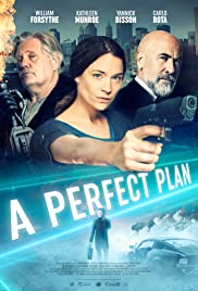 Watch Full Movie :A Perfect Plan (2019)