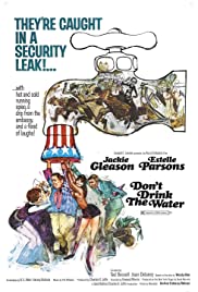 Watch Free Dont Drink the Water (1969)