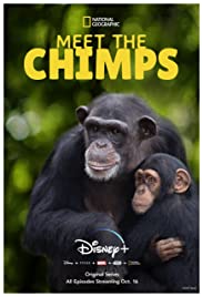 Watch Free Meet the Chimps (2020 )