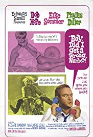 Watch Free Boy, Did I Get a Wrong Number! (1966)