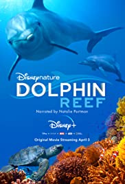 Watch Free Dolphin Reef (2020)