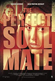 Watch Free The Perfect Soulmate (2017)