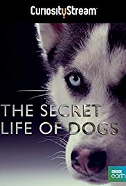 Watch Free Secret Life of Dogs (2013)