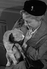 Watch Free Miss Paisleys Cat (1957)