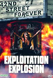 Watch Free 42nd Street Forever, Volume 3: Exploitation Explosion (2008)