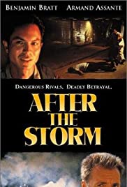 Watch Free After the Storm (2001)