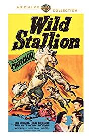 Watch Free Wild Stallion (1952)