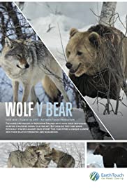 Watch Free Wolf vs Bear (2018)