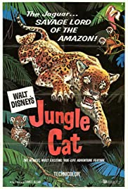 Watch Free Jungle Cat (1960)