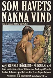 Watch Free One Swedish Summer (1968)