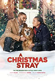 Watch Free A Christmas Stray (2021)