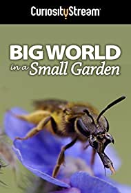 Watch Free Big World in a Small Garden (2016)