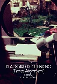 Watch Free Blackbird Descending (1977)