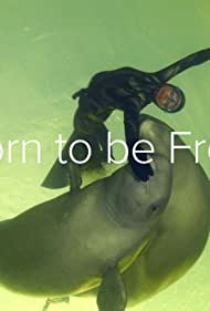 Watch Free Born to Be Free (2016)