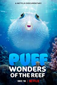 Watch Full Movie :Puff Wonders of the Reef (2021)