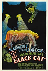 Watch Free The Black Cat (1934)