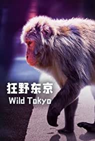 Watch Free Wild Tokyo (2020)