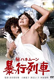 Watch Free Secret Honeymoon: Rape Train (1977)