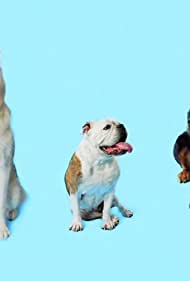 Watch Free How Dogs Got Their Shapes (2016)