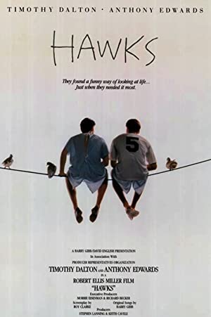 Watch Free Hawks (1988)