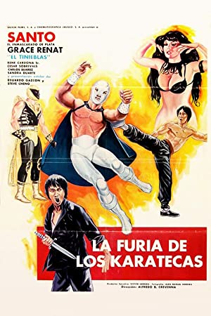 Watch Free The Fury of the Karate Experts (1982)