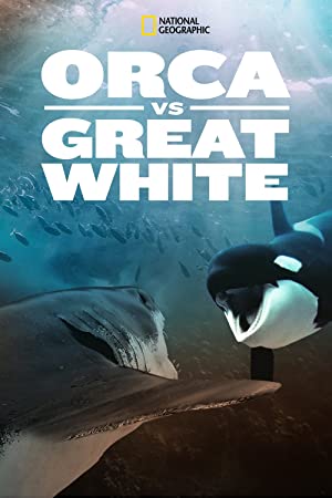 Watch Free Orca vs. Great White (2021)