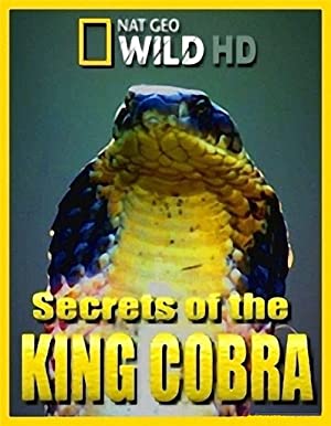 Watch Free Secrets of the King Cobra (2010)