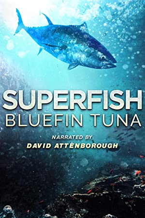 Watch Free Superfish Bluefin Tuna (2012)
