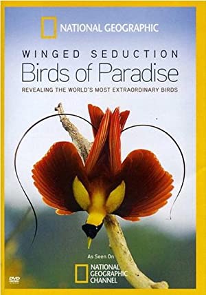 Watch Free Winged Seduction: Birds of Paradise (2012)