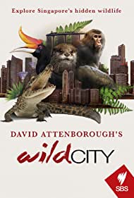 Watch Free David Attenboroughs Wild City (2016)