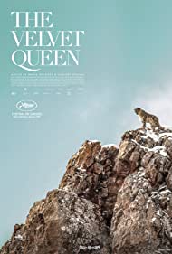 Watch Full Movie :The Velvet Queen (2021)