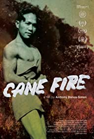 Watch Full Movie :Cane Fire (2020)
