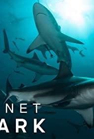 Watch Free Planet Shark (2022-)