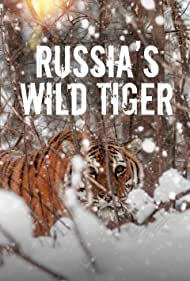 Watch Full Movie :Russias Wild Tiger (2022)