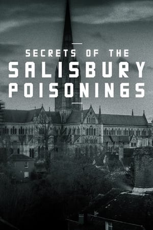 Watch Free Secrets of the Salisbury Poisonings (2021)