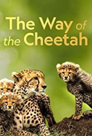 Watch Full Movie :The Way of the Cheetah (2022)