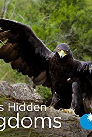 Watch Free Africas Hidden Kingdoms (2015-2020)