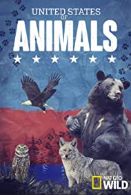 Watch Free United States of Animals (2016–)