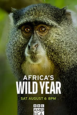 Watch Free Africas wild year (2021)