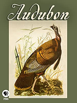 Watch Free Audubon (2017)