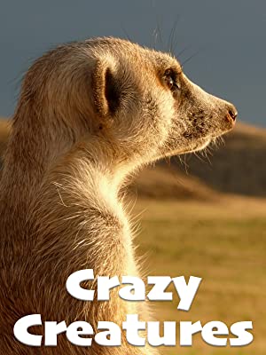 Watch Free Crazy Creatures (2018)