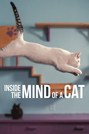 Watch Free Inside the Mind of a Cat (2022)